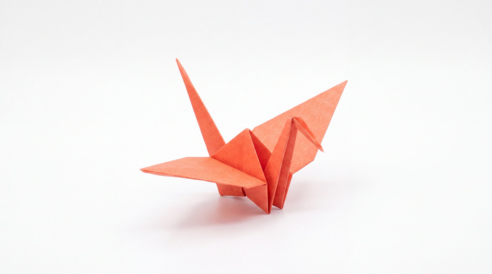 The crane on white